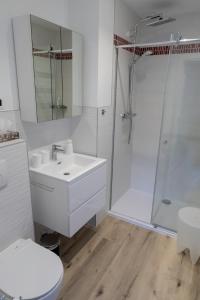 布鲁塞尔Modern duplex with garden的白色的浴室设有水槽和淋浴。