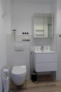 布鲁塞尔Modern duplex with garden的白色的浴室设有卫生间和水槽。