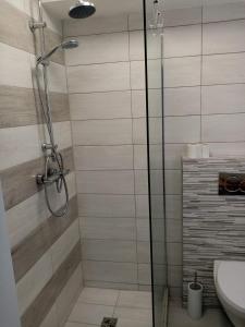 布勒伊-切尔维尼亚Alfastudio的带淋浴、卫生间和盥洗盆的浴室