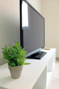 阿尔赫西拉斯Apartamentos Albeniz的电视坐在白色的办公桌上,上面有植物