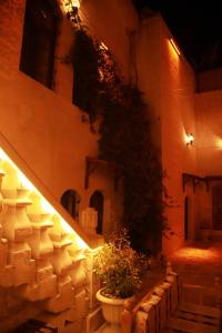 尚勒乌尔法阿斯兰旅馆的一座有楼梯的建筑,一座植物在锅里