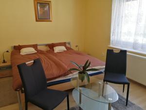 保拉德绍什瓦尔Jászay vendégház Parádsasvár的一间卧室配有一张床、两把椅子和一张玻璃桌