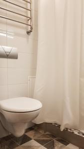 考纳斯旧都考纳斯公寓酒店的一间带卫生间和淋浴帘的浴室