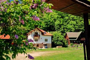 BoşorodPensiunea Dacica的一座布满紫色花的房屋和谷仓