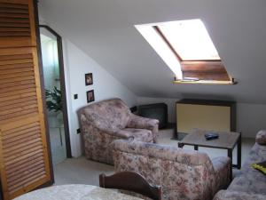 利贝雷茨乌尔里奇私人公寓的带沙发和天窗的客厅