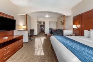 雷德兰兹雷德兰兹康福特套房酒店的配有一张床和一台平面电视的酒店客房