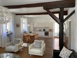 海德堡Best Location - Luxury Loft Riverview的厨房以及带桌椅的起居室。