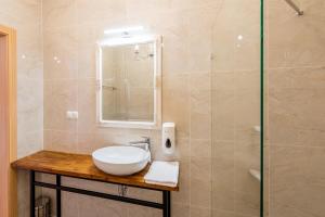 比亚韦斯托克Kamienica Zamenhofa - Apartamenty na wynajem的一间带水槽和淋浴的浴室