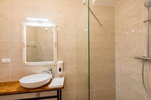 比亚韦斯托克Kamienica Zamenhofa - Apartamenty na wynajem的一间带水槽和淋浴的浴室