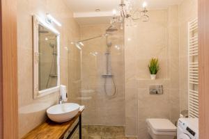 比亚韦斯托克Kamienica Zamenhofa - Apartamenty na wynajem的带淋浴、盥洗盆和卫生间的浴室
