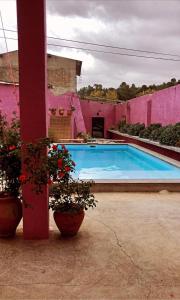 圣塔伦São Miguel House , Casa do Carvalhal的粉红色房子中的游泳池,种植了盆栽植物