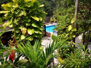 萨玛拉萨马拉海滩哥斯达黎加丽城酒店的花园内种有植物,后方设有游泳池