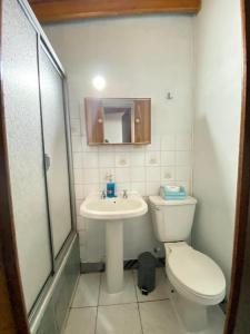 皮奇勒姆Hostal Traveland的一间带卫生间和水槽的浴室