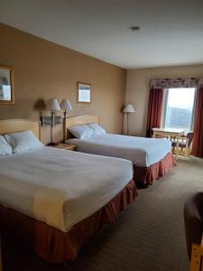 北贝特尔福德龙内斯达酒店的酒店客房设有两张床和窗户。