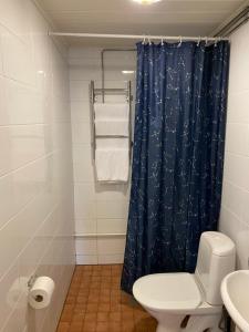 罗瓦涅米阿克内斯公寓式酒店的浴室配有蓝色的浴帘和卫生间