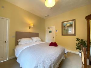 莱姆河下游的纽卡尔斯维多利亚酒店的一间卧室设有两张床,里面种有植物