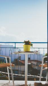 爱琴娜岛Aphrodite Art Hotel Aegina的相册照片