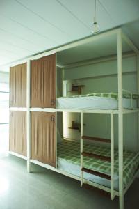 绿色睡眠旅舍客房内的一张或多张双层床