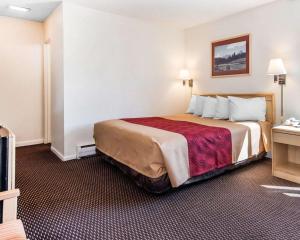 科罗拉多斯普林斯市中心艾科诺旅馆客房内的一张或多张床位