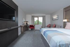 克莱尔莫里斯麦克威廉姆公园酒店的配有一张床和一台平面电视的酒店客房