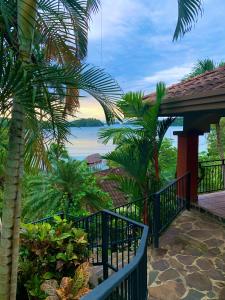 博卡奇卡Seagull Cove Resort的阳台种有棕榈树,享有水景