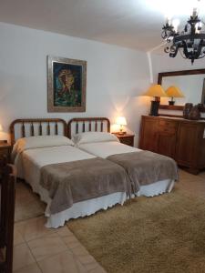 奥伦塞Casa MiraXurés con vistas a la Sierra del Xurés的一间卧室配有两张床和吊灯。