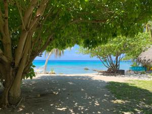 阿瓦托鲁Le Coconut Lodge的一片种着树木和海洋的海滩