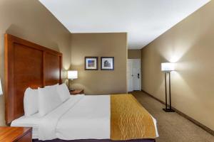 格尼Comfort Inn Gurnee near Six Flags的酒店客房设有一张大床和两盏灯。