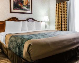 伊克诺旅店&套房酒店客房内的一张或多张床位