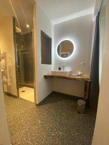 奥布拉克L’Estive d’Aubrac的一间带水槽、镜子和淋浴的浴室