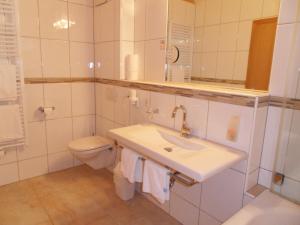 圣安东阿尔贝格纳斯海纳霍夫酒店的一间带水槽、卫生间和镜子的浴室