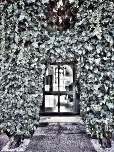 韦尔巴尼亚Hotel Casa Camilla的一座有植物覆盖的墙的建筑