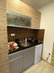 Kopaonik Apartmani Milmari - Katic的厨房或小厨房