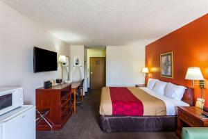 林垦林肯伊克诺旅馆 的酒店客房配有一张床、一张书桌和一台电视。