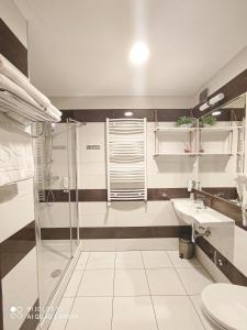 莱格尼察千禧酒店的带淋浴、卫生间和盥洗盆的浴室