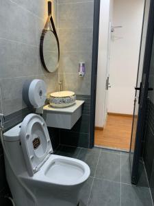 Bến CátKhải Hoàn Hotel的一间带卫生间、水槽和镜子的浴室