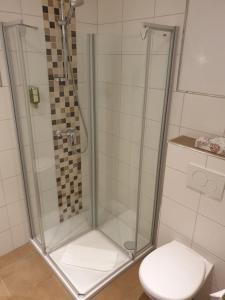 格明德Kurparkhotel-Gemünd的浴室内配有淋浴和卫生间