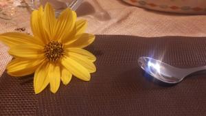 皮耶迪卢科Il Girasole del Lago的汤匙旁边的桌子上一朵黄色的花