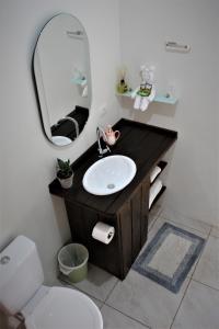 波梅罗迪Garten Chalés的一间带水槽和镜子的浴室