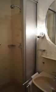 雷米希河滨艺术中心酒店的带淋浴、盥洗盆和镜子的浴室