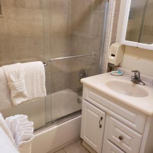 大熊湖Grey Squirrel Resort的带淋浴和盥洗盆的浴室