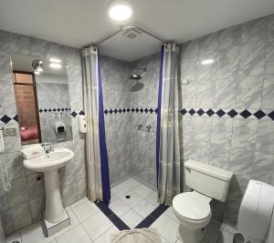 阿雷基帕卡索那索拉尔酒店的浴室配有卫生间、淋浴和盥洗盆。