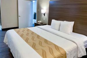 埃尔帕索Quality Inn & Suites Airport的一间位于酒店客房内的带大床的卧室