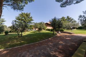 维泰博Villa dei Gelsomini, Residenza nel verde的树木繁茂的公园,坐在长凳上的人