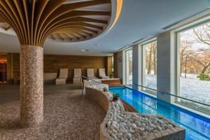 希维拉杜夫-兹德鲁伊Hotel BERLINER的一座带天花板的房屋内的游泳池