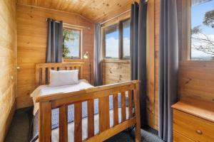Mole Creek摩尔溪度假村小木屋的一间木制小屋,配有一张位于带窗户的房间内的床