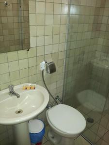 瓦拉达里斯州长市全景酒店的浴室配有卫生间、盥洗盆和淋浴。