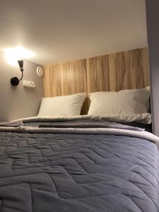 莫斯科Shelter-Hotels Парк Горького的一间卧室配有一张大床和木制床头板