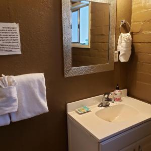 大熊湖Grey Squirrel Resort的一间带水槽和镜子的浴室