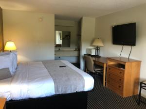Timmonsville蒂蒙斯维尔经济型旅馆的酒店客房配有一张床、一张书桌和一台电视。